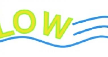 PROYECTO FLOW